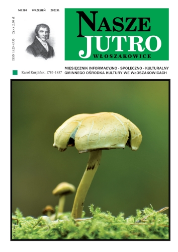 Okładka 384 numeru czasopisma „Nasze Jutro” przedstawiająca grzyby rosnące w lesie